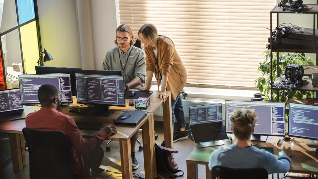 Software Development